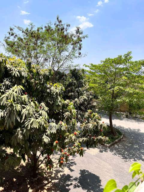 3 BHK Flat In Kunal Iconia For Sale  In Mamurdi