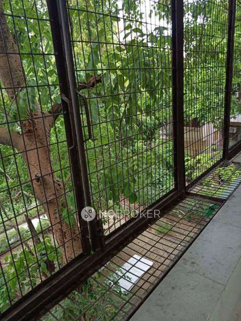 PG for Girls in Kamla Nagar