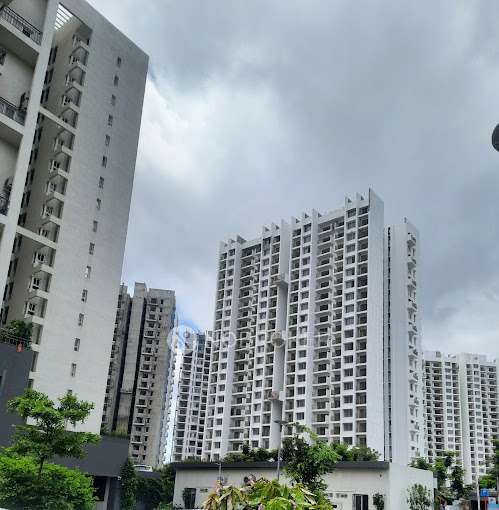 2 BHK Flat In Godrej Infinity for Rent  In Keshav Nagar