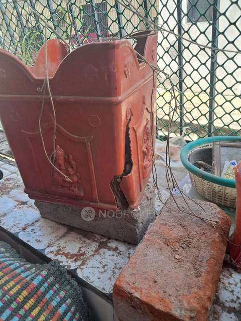 2 BHK Villa In Springfield Colony For Sale  In Sector 31