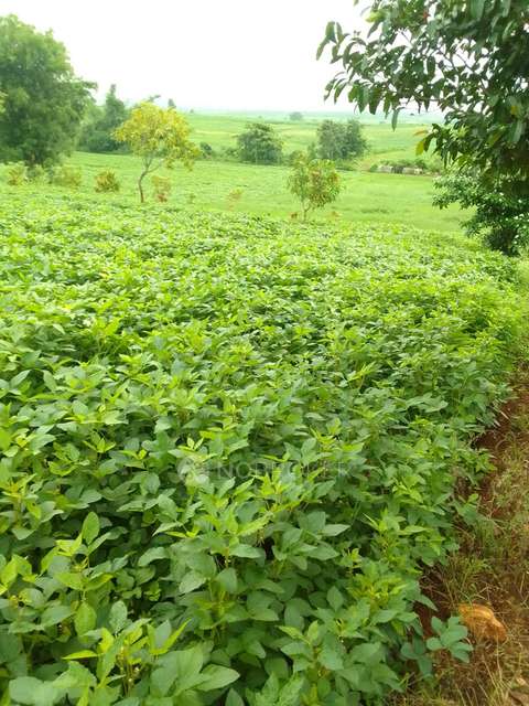 Plot For Sale  In Sarle Farmhouse Sell Betul Mp In Sector 2