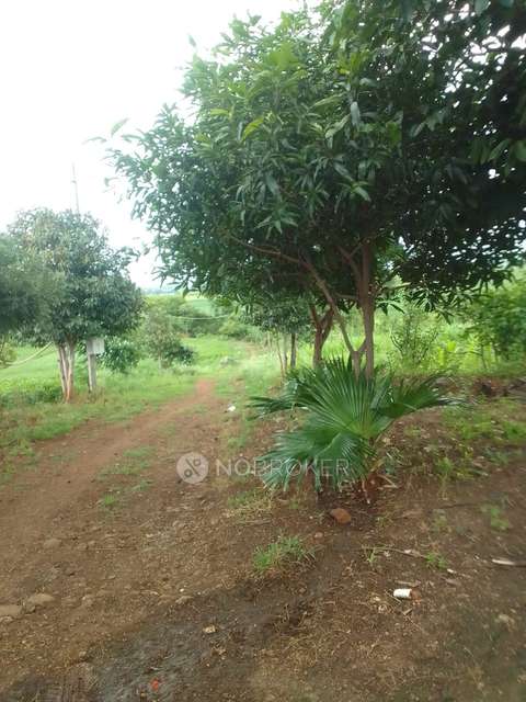 Plot For Sale  In Sarle Farmhouse Sell Betul Mp In Sector 2
