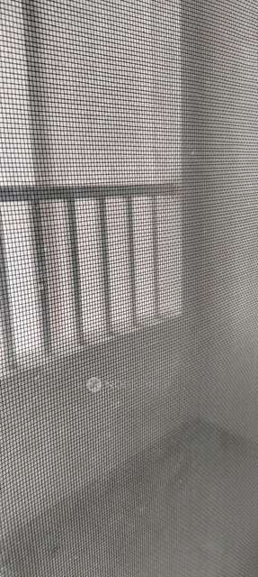 3 BHK Flat In Vision Ace for Rent  In Tathwade