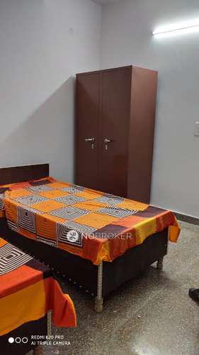 PG for Anyone in Rohini