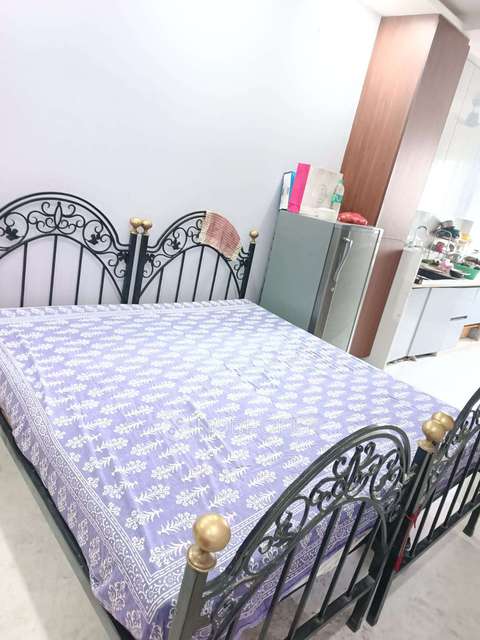 PG for Girls in Sector 8a, Rohini