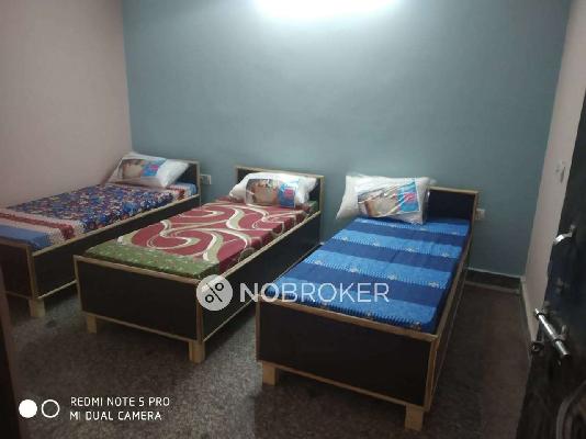 PG for Boys in Sector 22