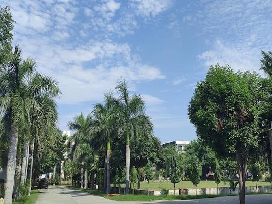 Plot For Sale  In Nsg Black Cat Society Greater Noida In Nsg Black Cat Society