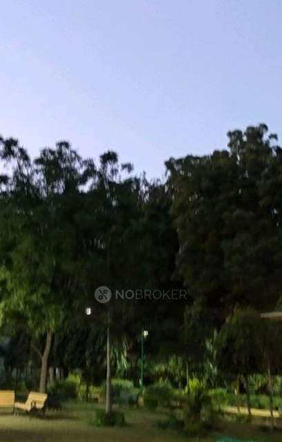 1 BHK Flat For Sale  In Nirman Vihar