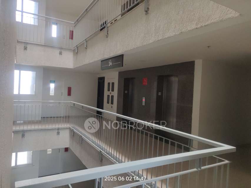 3 BHK Flat In Godrej United, Bangalore for Rent  In K R Puram