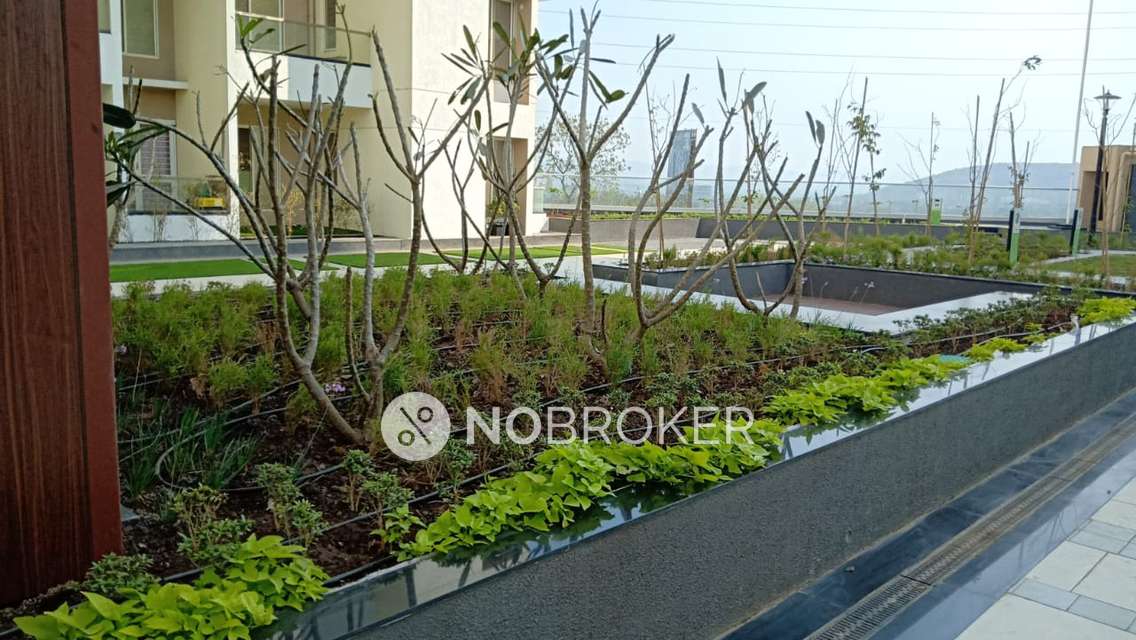 2 BHK Flat In Yashwin Hinjawadi for Rent  In Hinjawadi