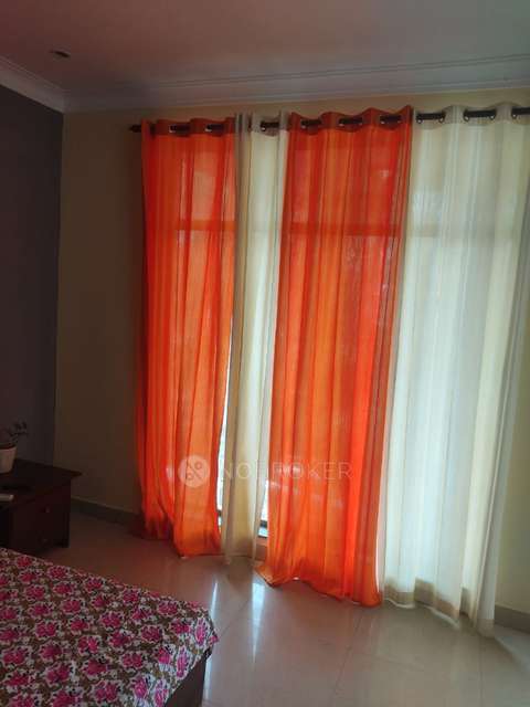 PG for Boys in Sector 41