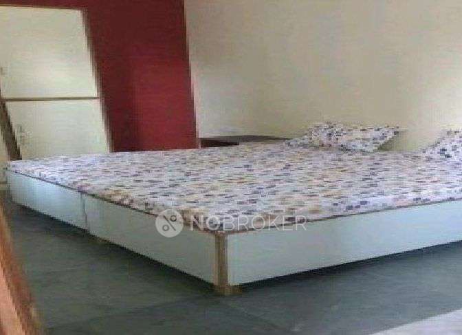 PG for Anyone in Jmd Megapolis