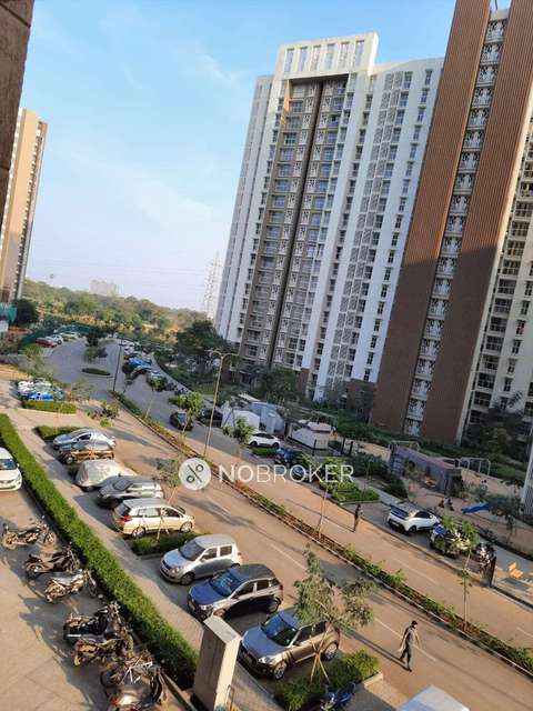 2 BHK Flat In C Treetops For Sale  In  Golbhan