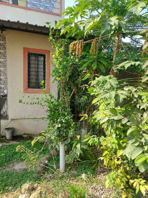 2 BHK Flat In Drojal Niwas( Tapkir) for Rent  In  Perne 