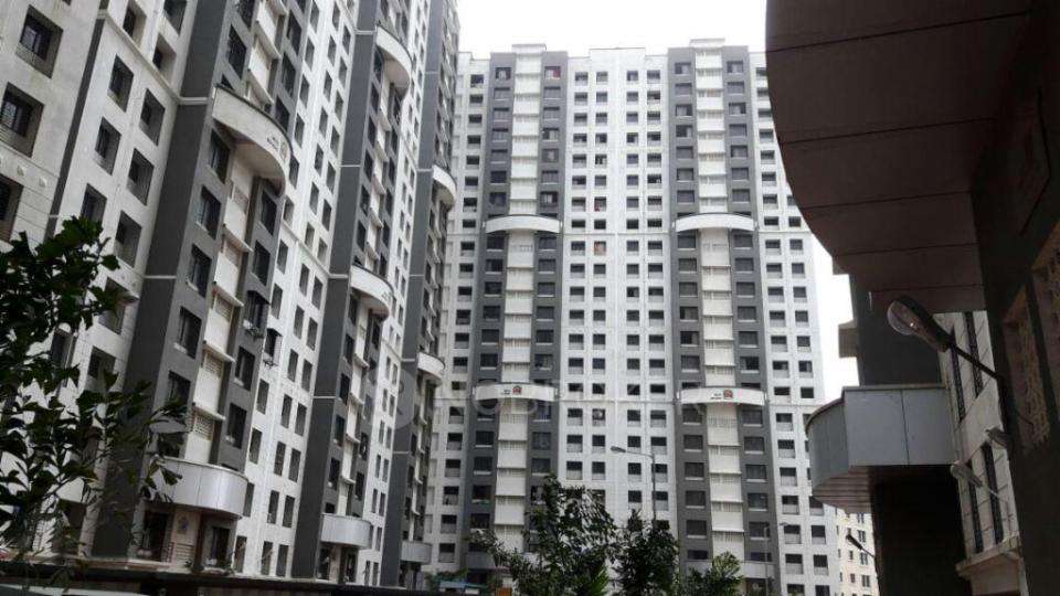 Single Room for Male In 1 BHK In Mountain Breeze Society In Powai