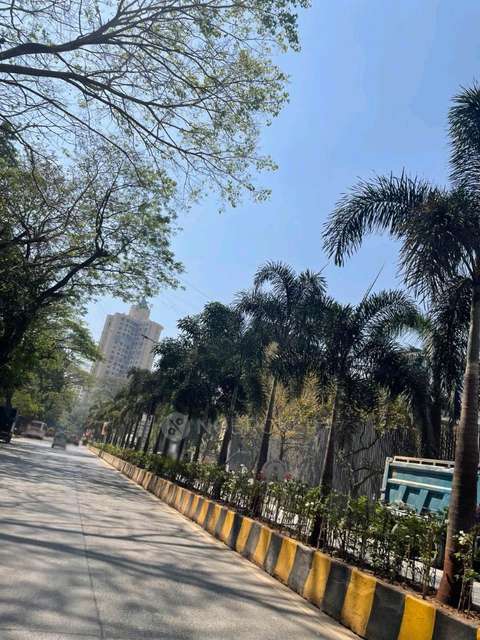 1 BHK Flat In Saptarishi Park For Sale  In Mulund West