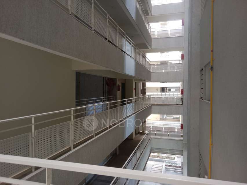 2 BHK Flat In Rohan Ananta  for Rent  In Tathawade