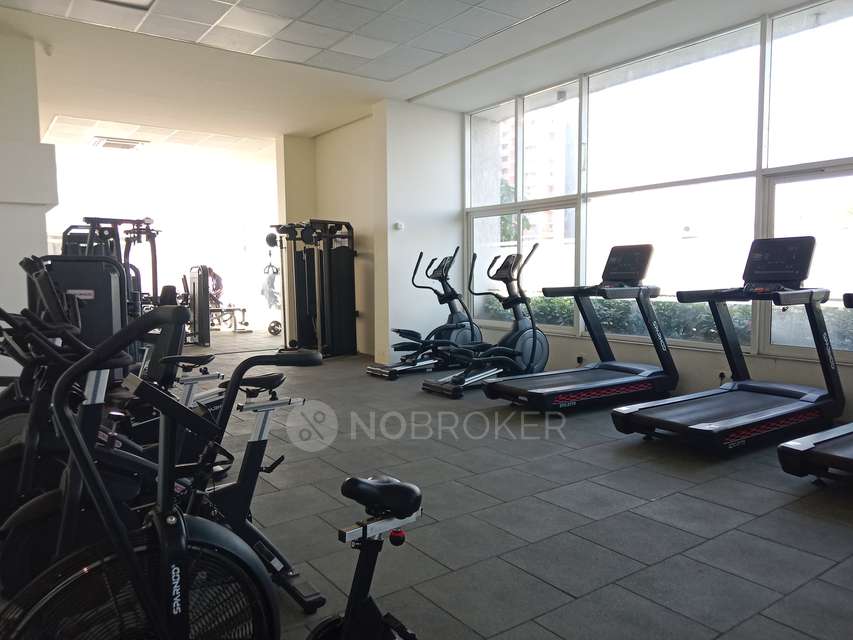 2 BHK Flat In Rohan Ananta  for Rent  In Tathawade