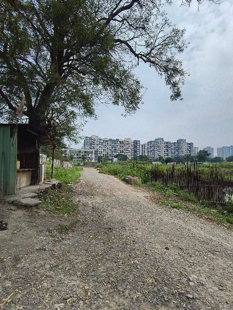 1 BHK Flat In Pinnacle Neelanchal For Sale  In Sus