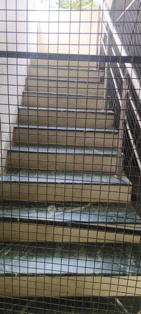 3 BHK Flat In Raj Towers For Sale  In Mayurinagar