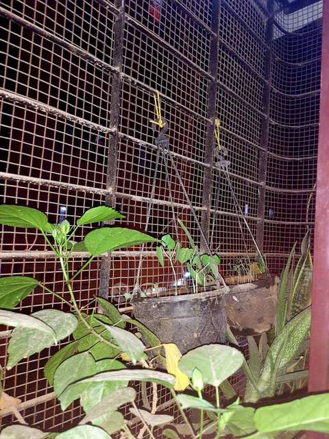 1 RK Flat In Om Sai Manthan For Sale  In Nalasopara East