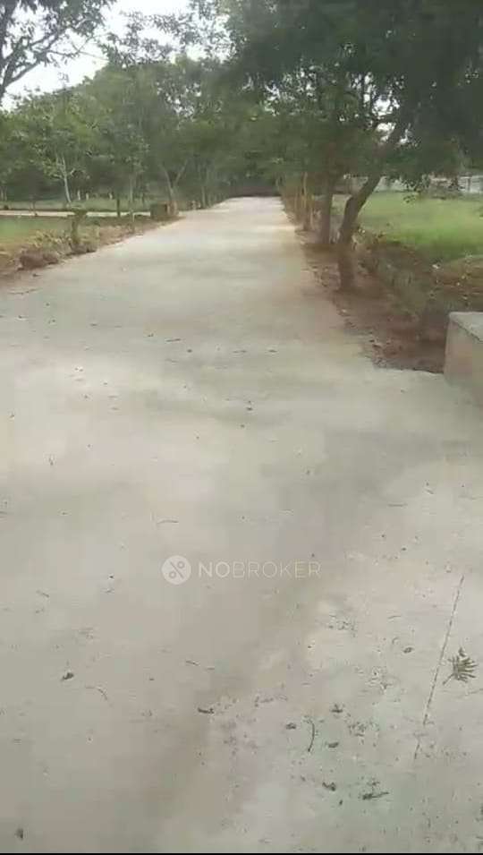 Plot For Sale  In Doddaballapura