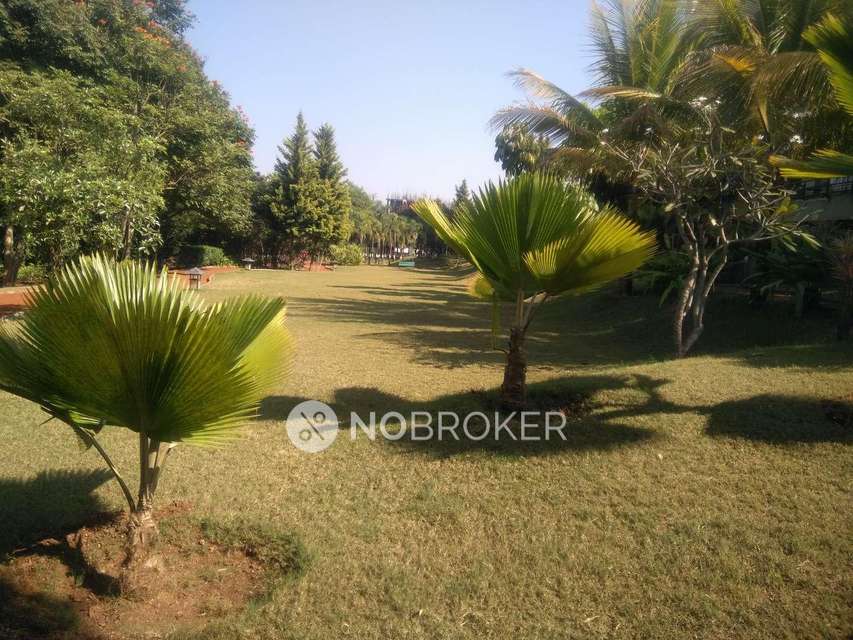 1 BHK Flat In Mont Vert Vesta For Sale  In Pirangut