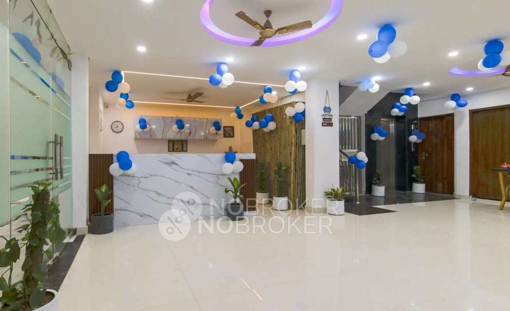 PG for Boys in Sector 38