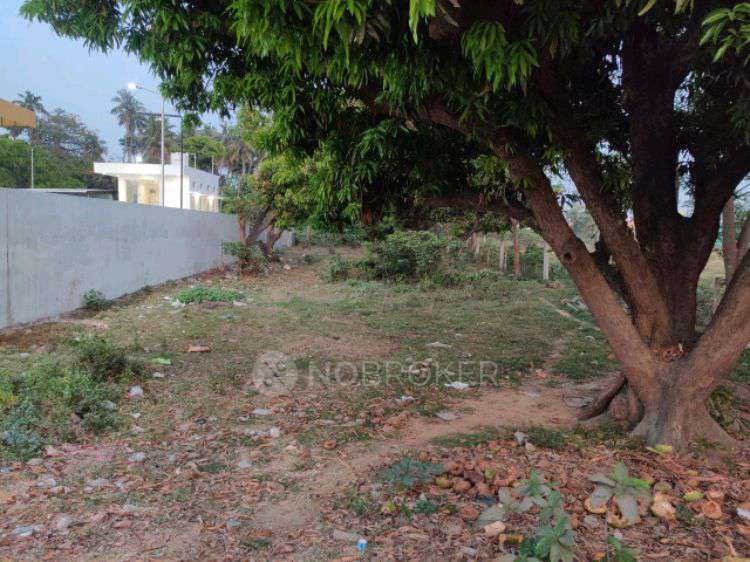 Plot For Sale  In Kapaleswar Nagar Layout In Thiruverkadu