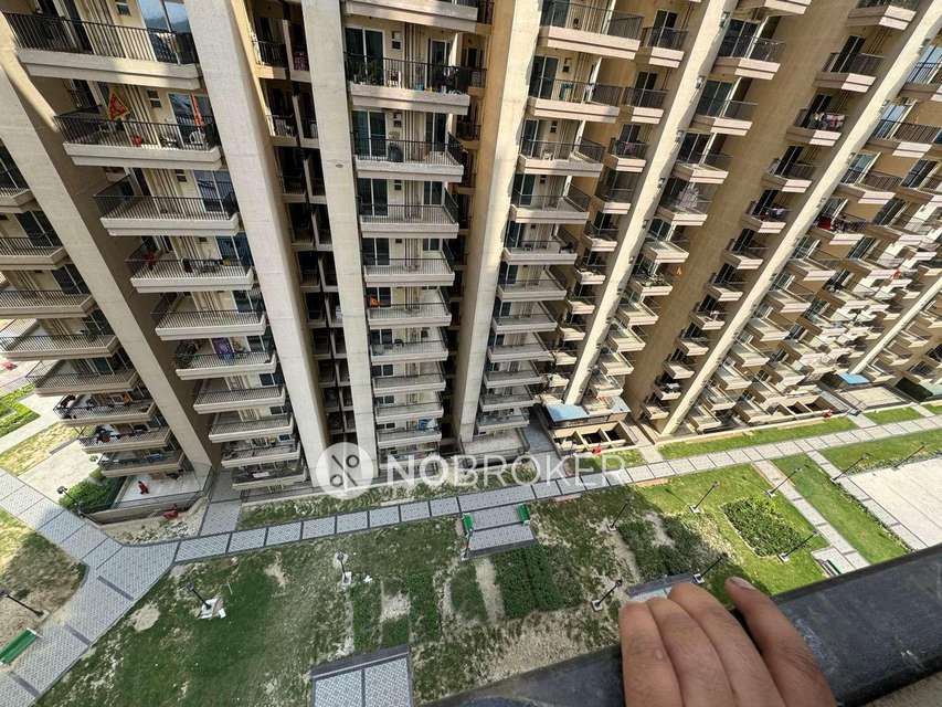3 BHK Flat In Gaur Yamuna City For Sale  In Gaur Yamuna City