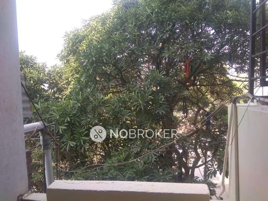 2 BHK Flat In Noor Nagar, Jamia Nagar, Okhla, For Sale  In Okhla