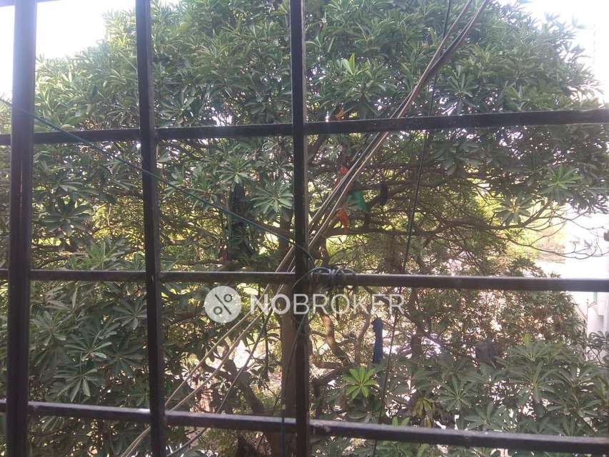 2 BHK Flat In Noor Nagar, Jamia Nagar, Okhla, For Sale  In Okhla