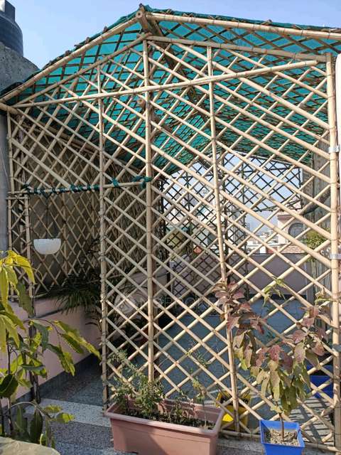 PG for Anyone in Gautam Palvi Rd