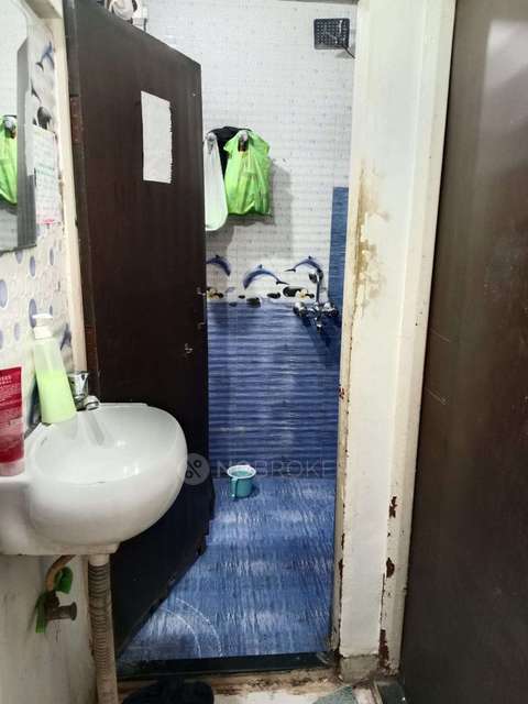 Shared Room for Female In 1 BHK  In Narayan Peth