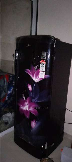 2 BHK Flat In Saheel Itrend Life 3 for Rent  In Wakad, Chinchwad, Maharashtra, India