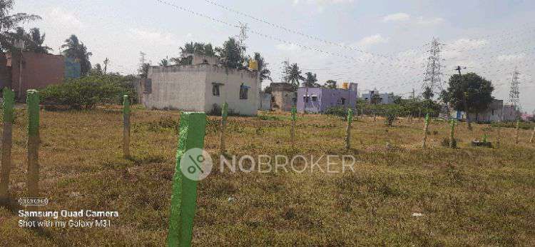Plot For Sale  In Neithavayal