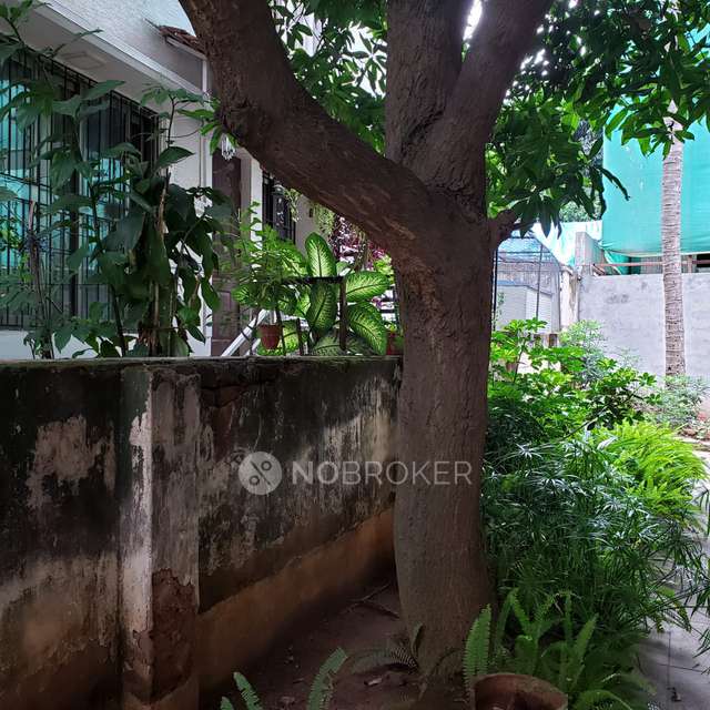 Plot For Sale  In Cooke Town