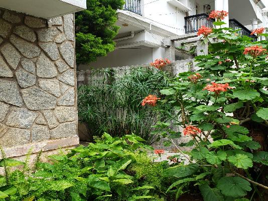 Plot For Sale  In Cooke Town