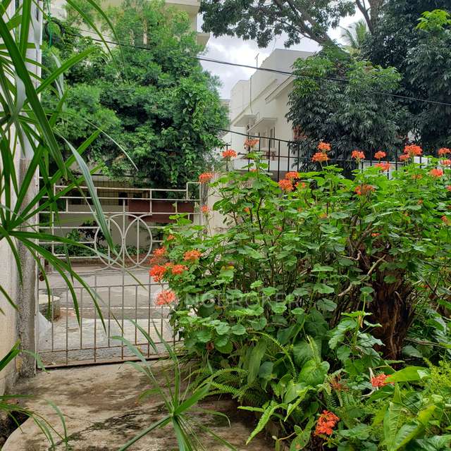 Plot For Sale  In Cooke Town