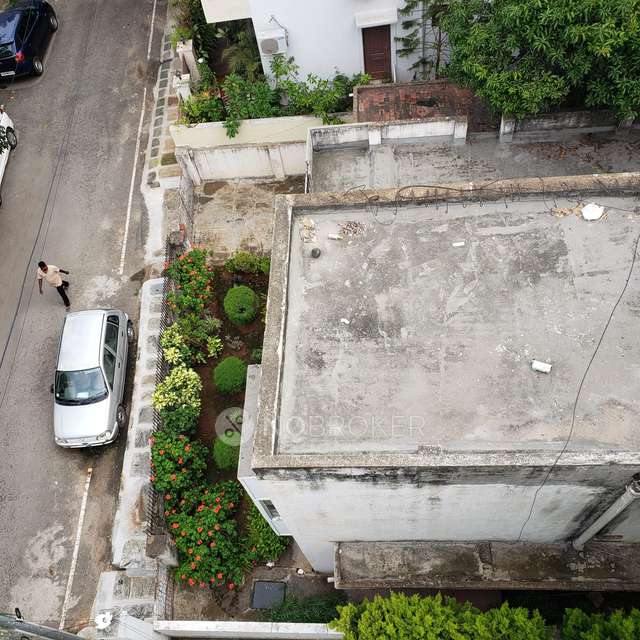 Plot For Sale  In Cooke Town