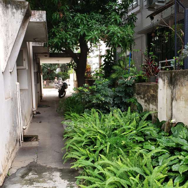 Plot For Sale  In Cooke Town