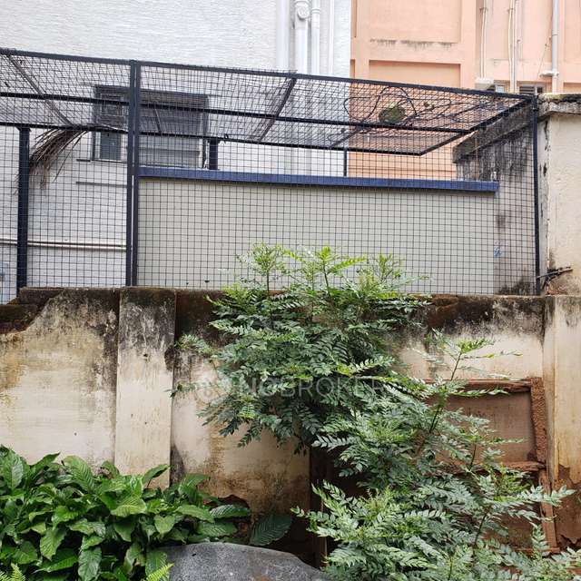 Plot For Sale  In Cooke Town