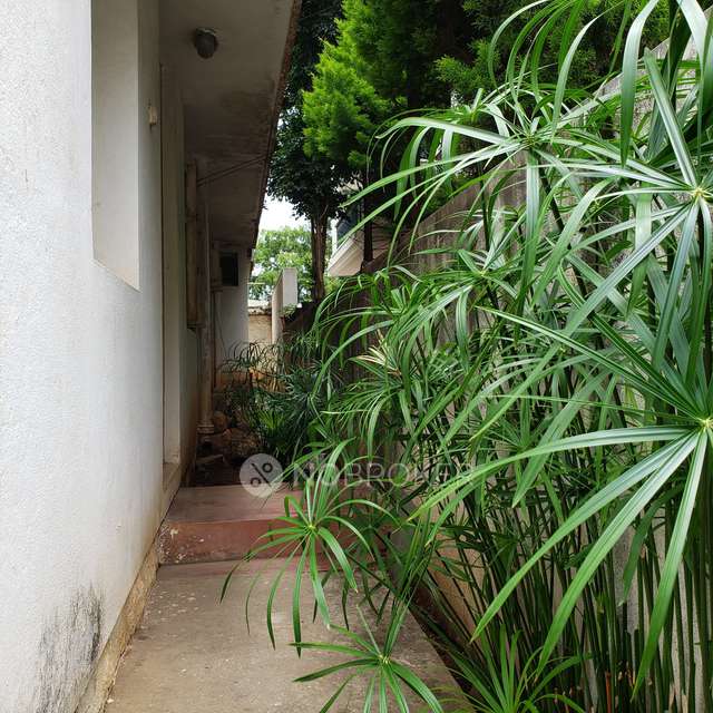 Plot For Sale  In Cooke Town