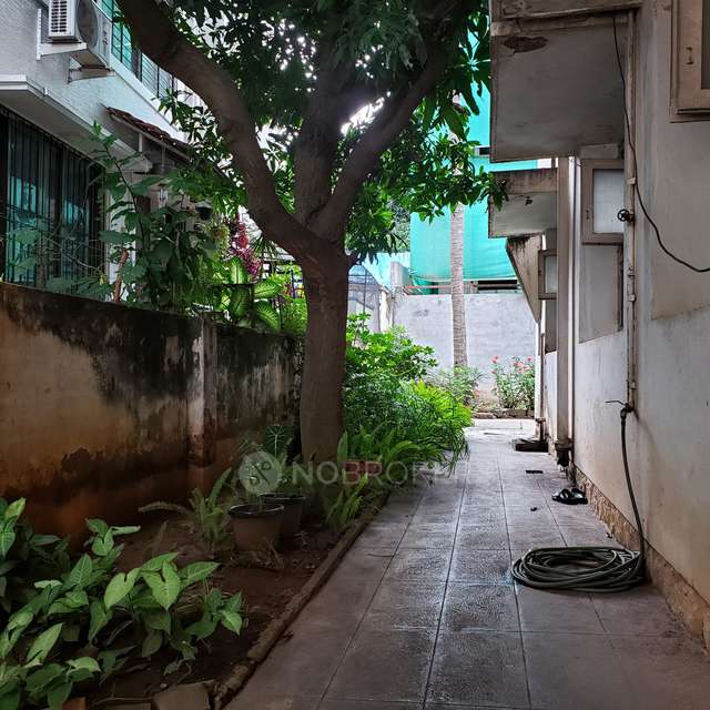 Plot For Sale  In Cooke Town