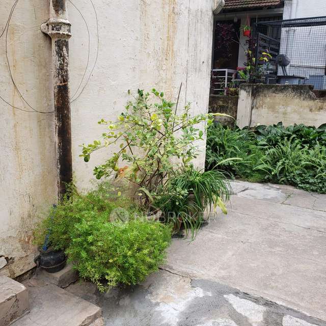 Plot For Sale  In Cooke Town