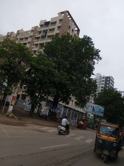 1 BHK Flat In Media Leaf for Rent  In Ambegaon Bk