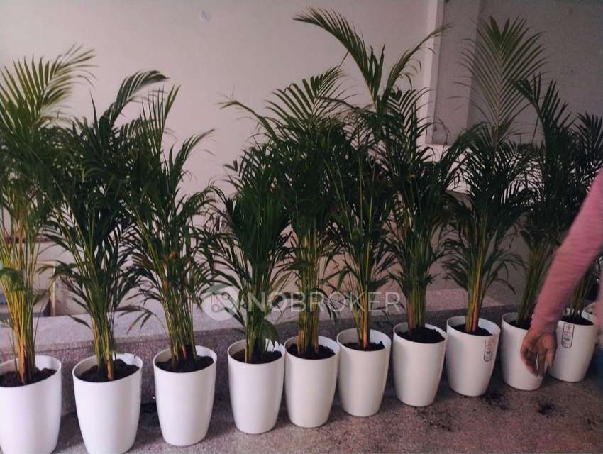 PG for Girls in Sector 22