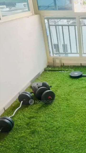 PG for Anyone in Mahadevapura