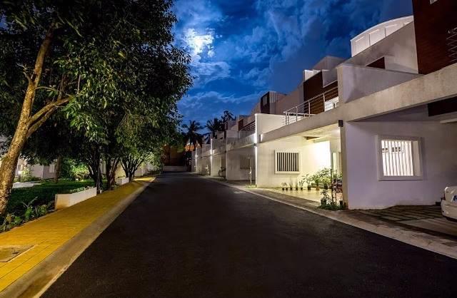 Chartered Grasshopper