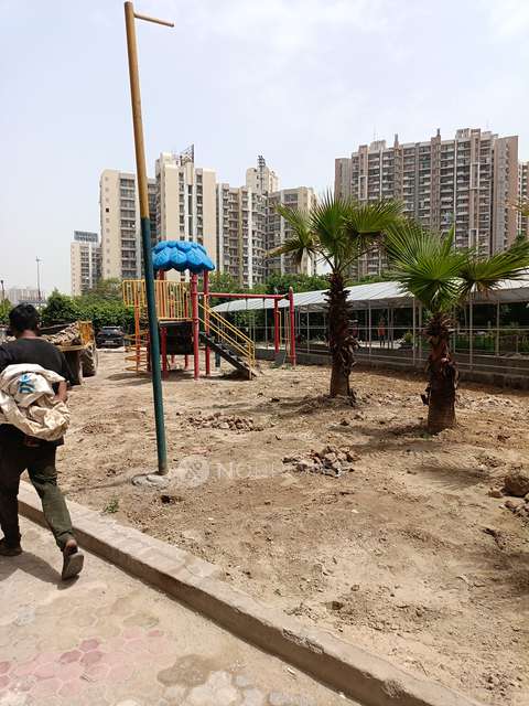 3 BHK Flat In Amrapali Zodiac For Sale  In Sector 120